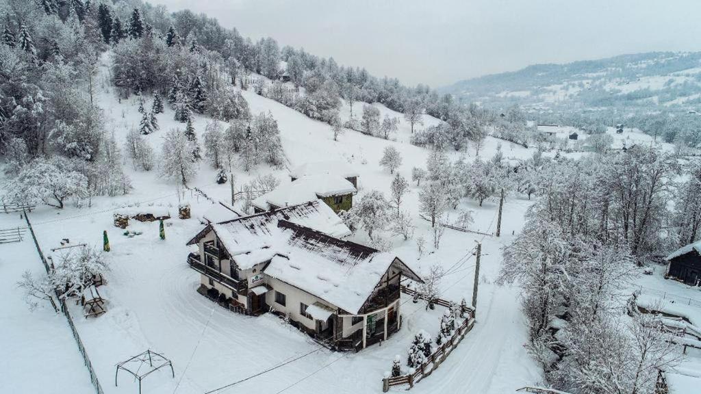 SăcelLacrima Izei别墅 外观 照片