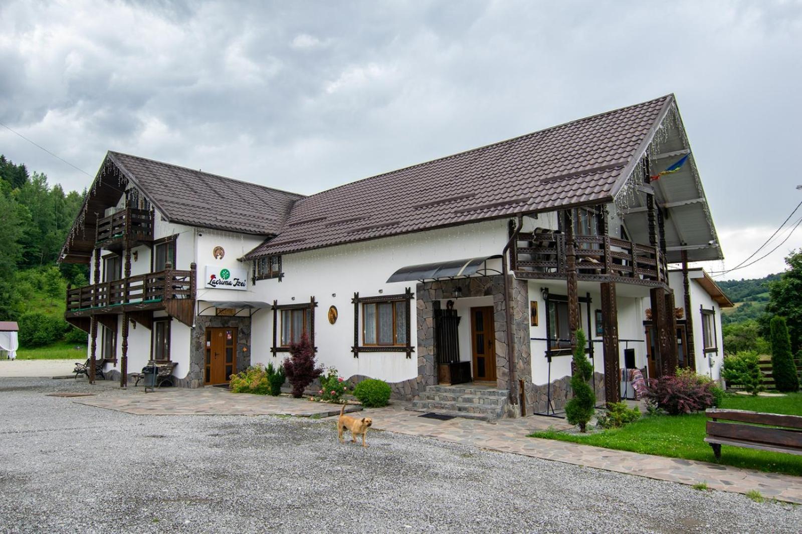 SăcelLacrima Izei别墅 外观 照片